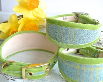 Snelston Tweed Sighthound Collar: Green & Blue Padded Dog Collar