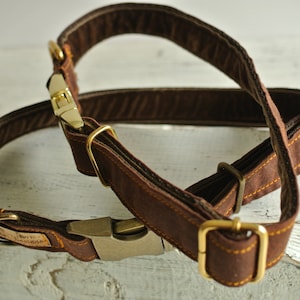 May include: A brown leather dog collar with gold hardware and yellow stitching. The collar is adjustable and has a buckle closure.