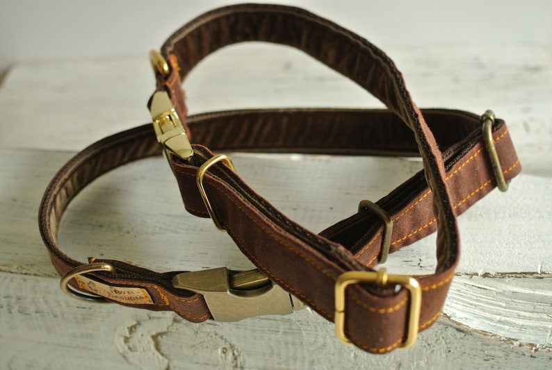 May include: A brown leather dog collar with gold hardware and yellow stitching. The collar is adjustable and has a buckle closure.