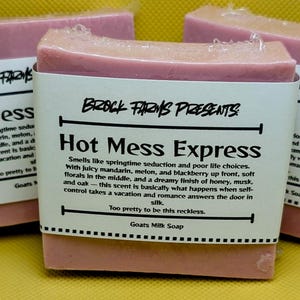 Hot Mess Express Goat Milk Soap | Floral Scented Handmade Soap | Natural Moisturizing Soap Bar | Goat’s Milk Bath Soap | Funny Gift