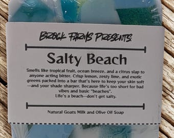 May include: A bar of soap wrapped in clear plastic, with a label that reads "Salty Beach." The soap has blue, green, and white layers. The label says it smells like tropical fruit and ocean breeze.