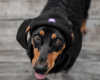 Cappello per cani – Berretto invernale nero con fori per le orecchie, per cani di tutte le razze