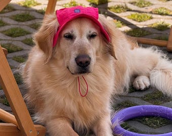 Hundhatt i linne: Andningsbart solskydd för sommaren