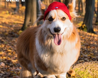 Dog Winter Beanie with Ear Holes – Knit Hat for Small and Medium Dogs