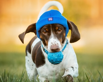 Dachshund Hat Beanie – Handmade Knitted Dog Hat, Dog Beanie Hat Gift