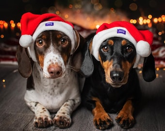 Gorro de Papá Noel para perro: disfraz navideño para mascota