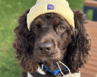 Gorro de perro amarillo: gorro de invierno acogedor con agujeros para las orejas