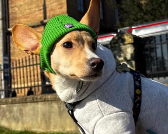 Gorro verde para perro: Gorro de invierno cómodo con agujeros para las orejas