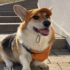 Puede incluir: Un perro corgi con gorra y riñonera de pana naranja. El perro tiene un arnés negro y está sentado en una escalera exterior. El texto "Size L" es visible en la esquina inferior izquierda.