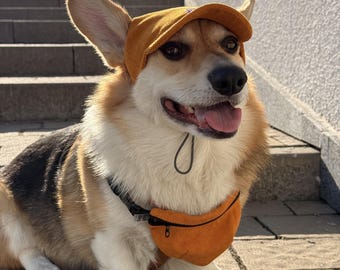 Dog Baseball Cap: Stylish Pet Hat for All Breeds, Ear Holes Summer Accessory for Puppy