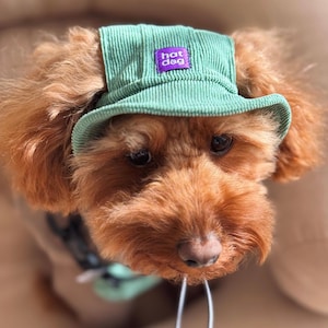 Dog Bucket Hat with Ear Holes and Chin Strap – Breathable Summer Panama for Small to Large Dogs | Pet Hat for Beach & Travel