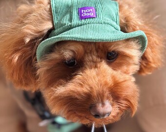 Hundhatt i manchester: Solhatt med hjärtmönster för husdjur