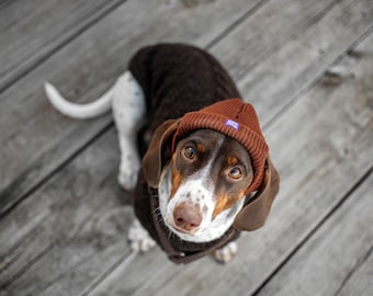 Hat Dog – Brown Winter Beanie with Ear Holes for Сold Weather