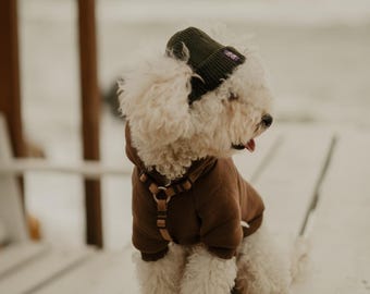 Gorro de invierno acogedor con agujeros para las orejas para perro color caqui