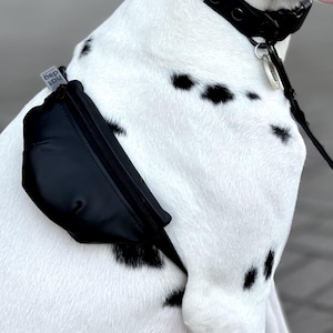 Hunde Umhängetasche - Personalisierte Umhängetasche für Pet Essentials | Personalisierte Hundetasche für Hundemamas