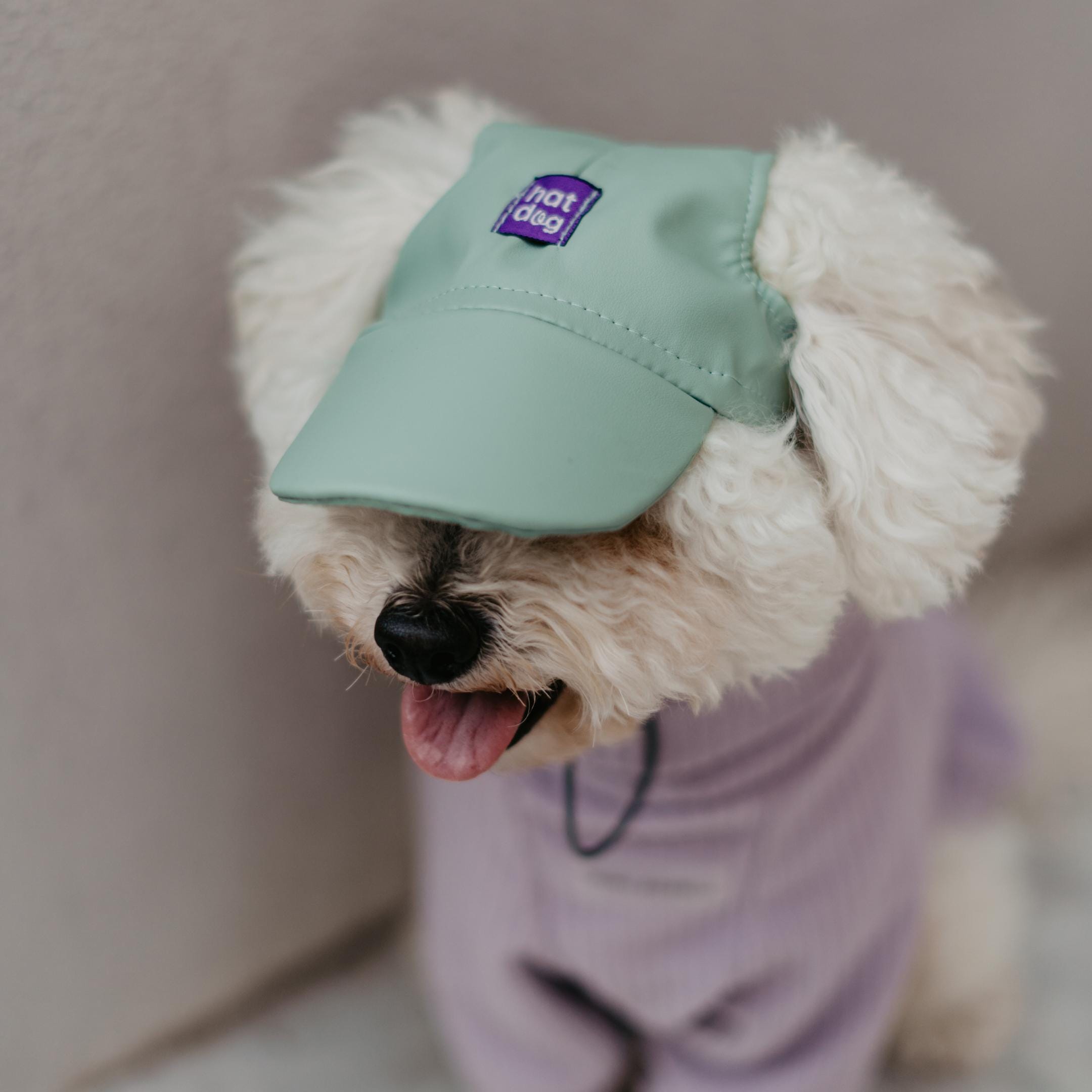 HatDogBrand