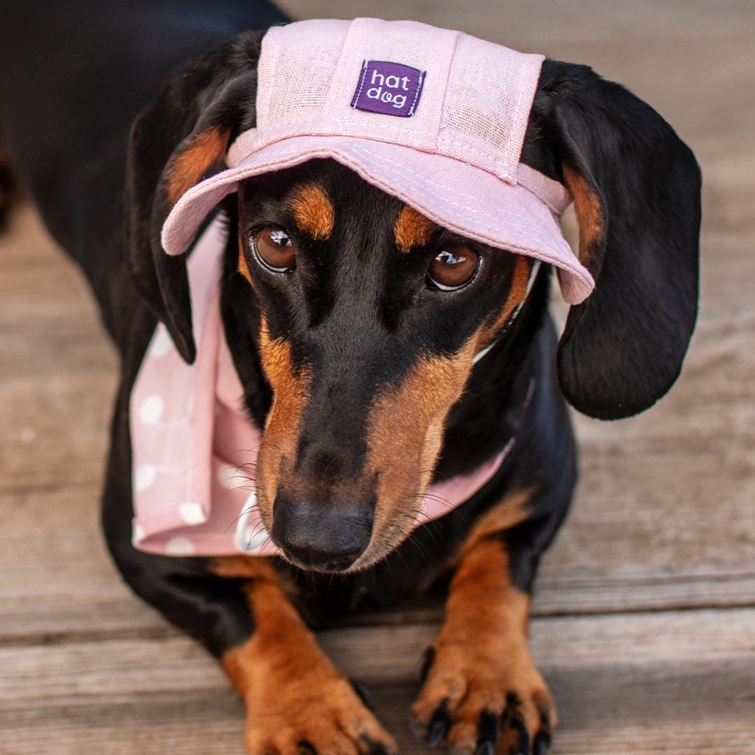 Bucket Hat Pink Dog Hat Pink Dog Bucket Hat – Stylish Sun