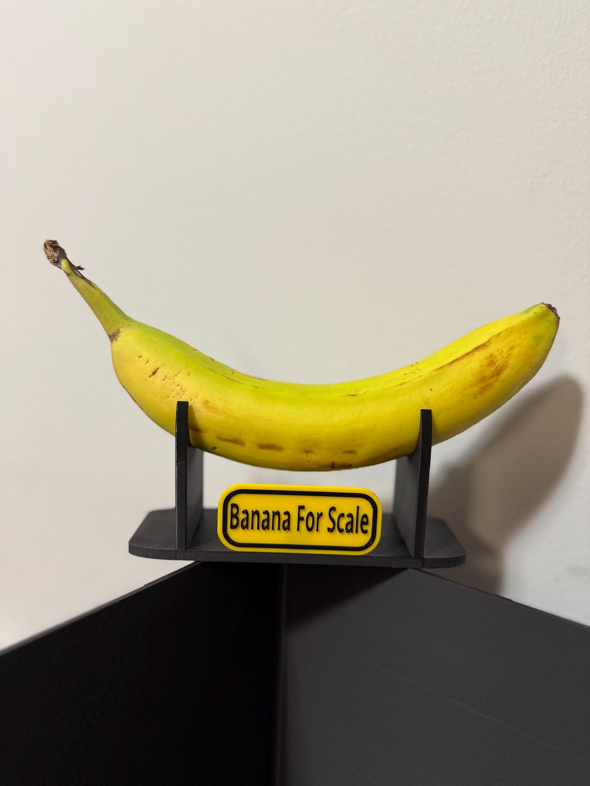 Banana for Scale Stand ONLY (provide Your Own Banana) - Etsy