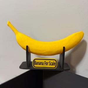 Banana For Scale