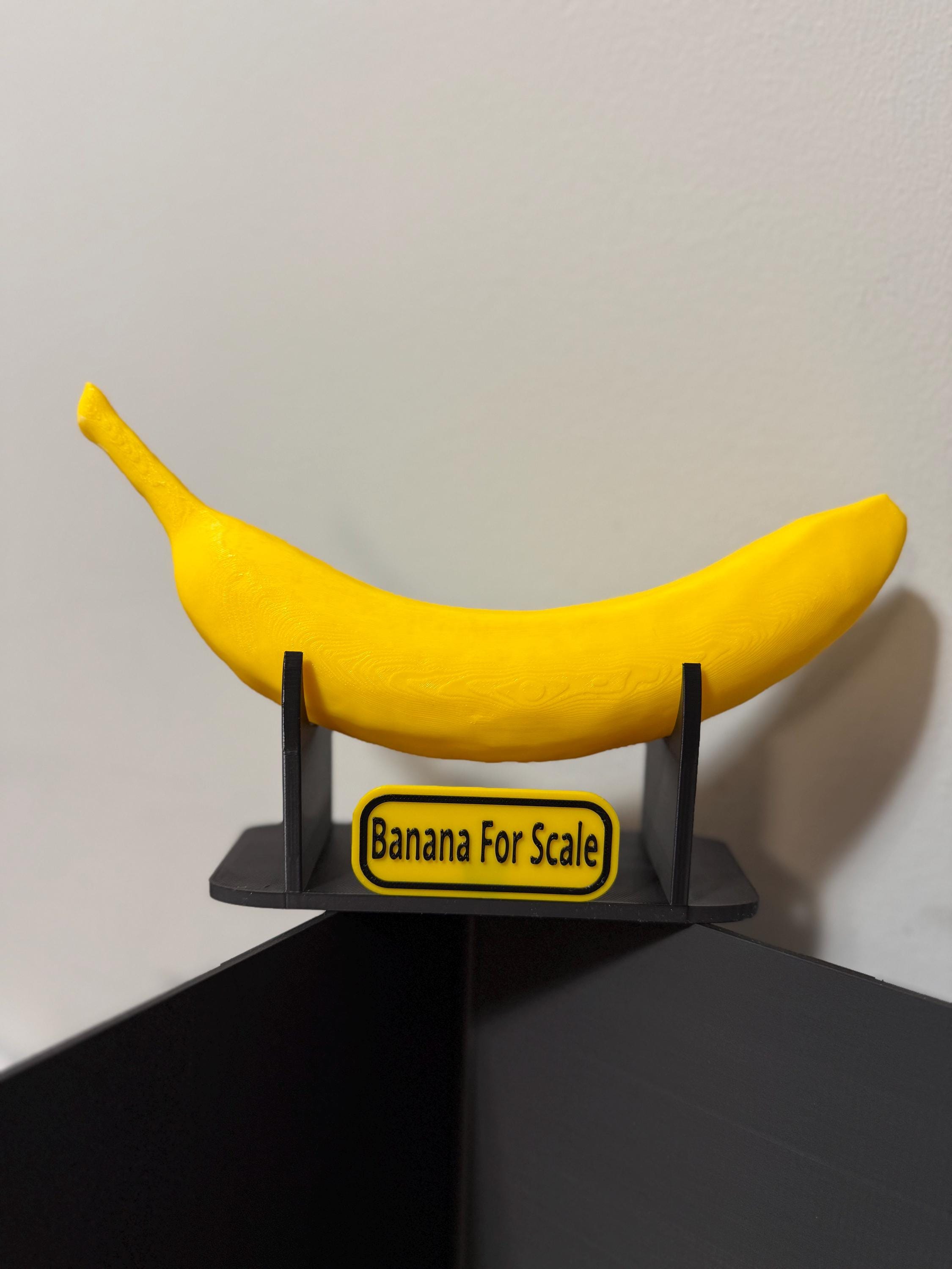 Banana for Scale - Etsy