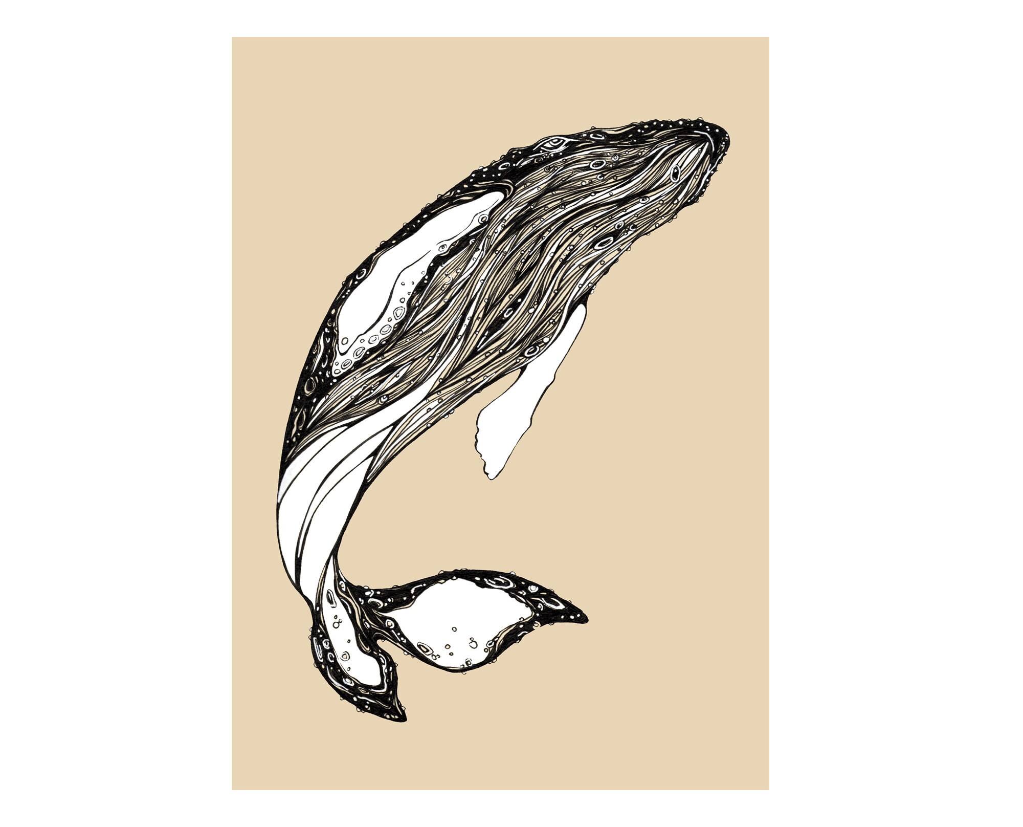 14+ Drawing Humpback Whale