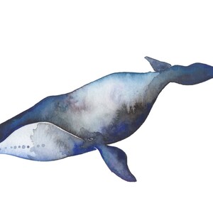 May include: Watercolor painting of a blue whale swimming in the ocean. The whale is painted in shades of blue and gray, with a white underbelly. The painting is done in a realistic style, with attention to detail in the whale's anatomy.