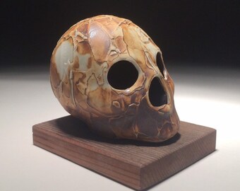 Erosion Tectonic Skull