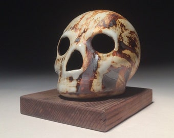 Weathered White Iron Skull