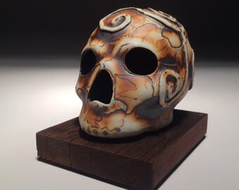 Tectonic Raised Spiral Skull