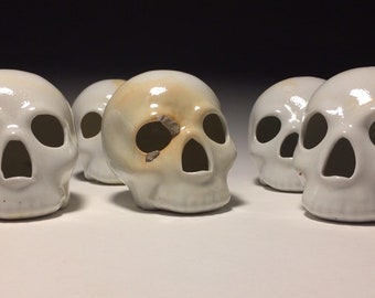 Vapor Fired Gloss White Skulls