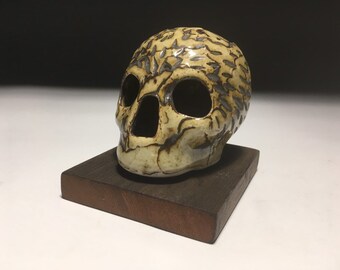 Scratches Tectonic Celadon Skull