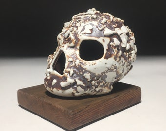 Barnacles Skull