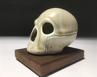 Yellow Ash Skull