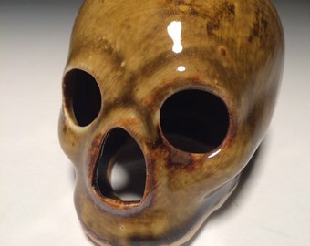 Amber Skull