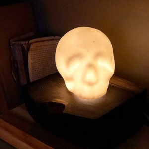 Translucent Glowing Skull Light