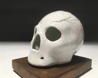 Tectonic White Skull