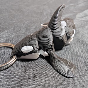 Little Orca Killer Whale w pełni przegubowy flexi brelok. Gotowy na eksplorację oceanów świata. Sprawdź całą naszą linię Littles
