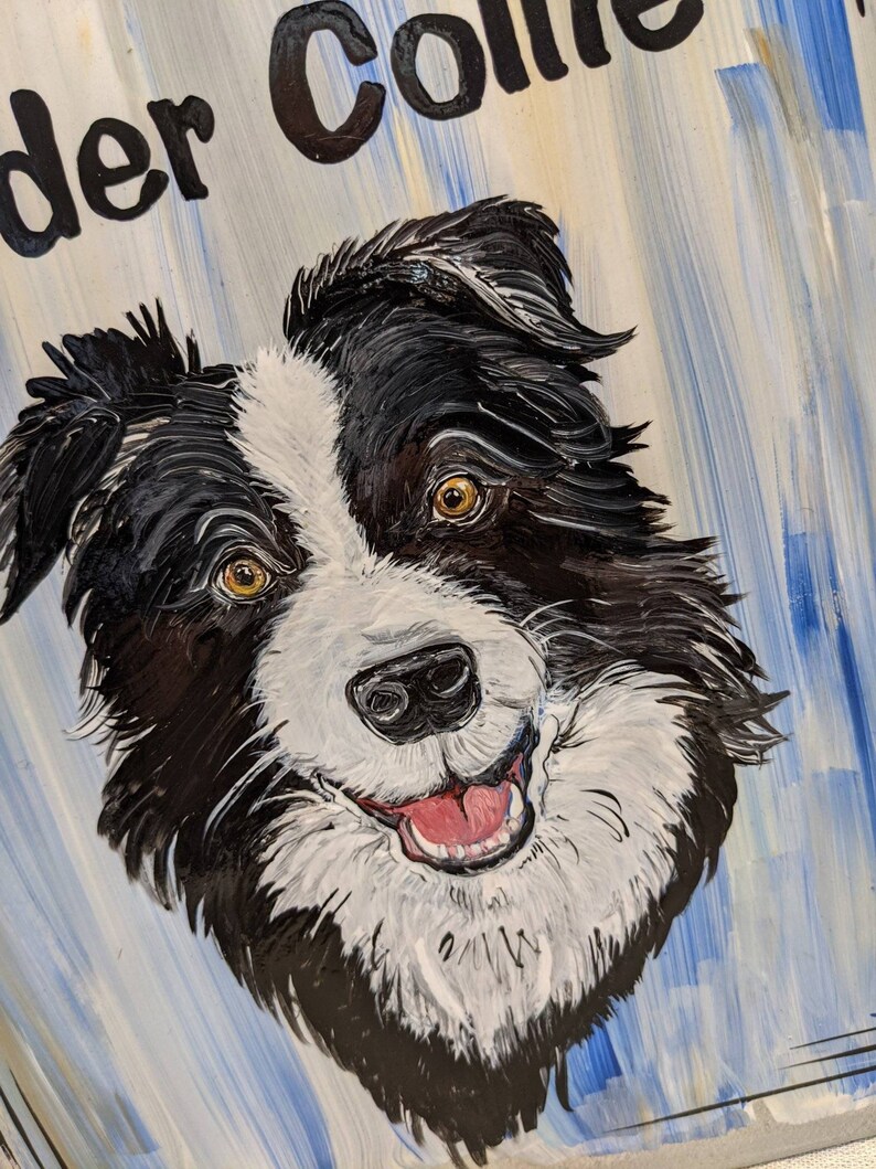 Puede incluir: Retrato pintado de un perro Border Collie con pelaje blanco y negro y ojos marrones. El perro est&aacute; sonriendo mostrando su lengua. El fondo es azul claro y blanco con las palabras "der Collie" en la parte superior.
