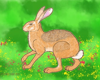 Hare | Digital Download