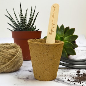 May include: A brown biodegradable pot with a wooden plant marker that says "Enjoy your petite-mint".