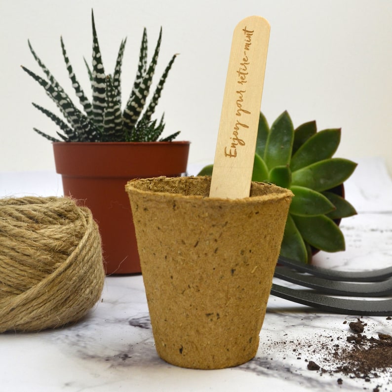 May include: A brown biodegradable pot with a wooden plant marker that says "Enjoy your petite-mint".