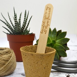 May include: A wooden plant marker with the text "Grandad, you're my all-time favorite". The marker is in a small brown pot with a green succulent plant.