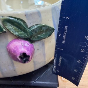 May include: A ceramic bowl with a cream-colored base and blue stripes. The bowl is decorated with a purple fruit and green leaves. The bowl is approximately 4 inches in diameter.