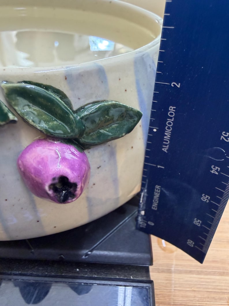 May include: A ceramic bowl with a cream-colored base and blue stripes. The bowl is decorated with a purple fruit and green leaves. The bowl is approximately 4 inches in diameter.