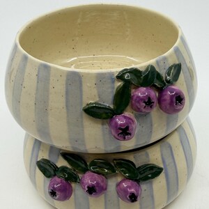 May include: Two ceramic bowls stacked on top of each other. The bowls have a cream-colored base with vertical blue stripes. Each bowl is decorated with three-dimensional purple blueberries and green leaves.