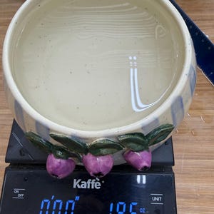 May include: A ceramic bowl filled with water, resting on a digital scale. The bowl has a cream-colored interior and blue stripes on the exterior. Three purple fruit-shaped decorations with green leaves adorn the bowl's rim. The scale reads 19.5 oz.