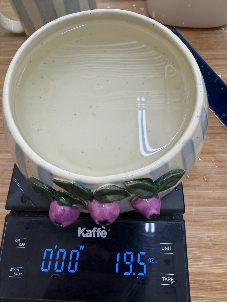 May include: A ceramic bowl filled with water, resting on a digital scale. The bowl has a cream-colored interior and blue stripes on the exterior. Three purple fruit-shaped decorations with green leaves adorn the bowl's rim. The scale reads 19.5 oz.