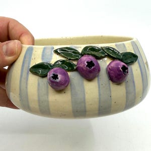 A ceramic bowl with a cream-colored base and blue vertical stripes. The bowl is decorated with three purple blueberry-like shapes and green leaves. The bowl is held by a hand.
