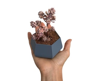 Slate Gray 3" Geometric Planter with Drainage Holes