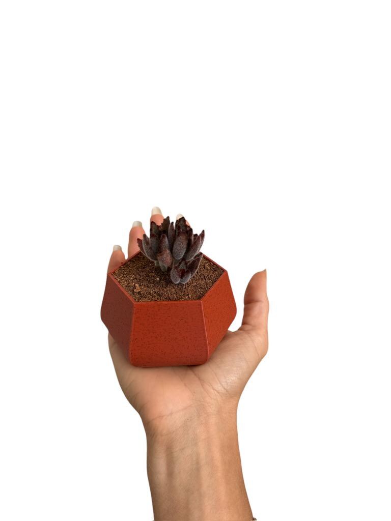 Vaso geometrico in terracotta rossa da 3" con fori di drenaggio